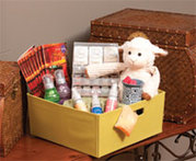 Become A Scentsy Consultant