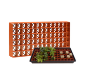 growing tomato plants indoors