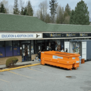 Drywall Disposal Services in Surrey & Vancouver – Recycling & Dumpster